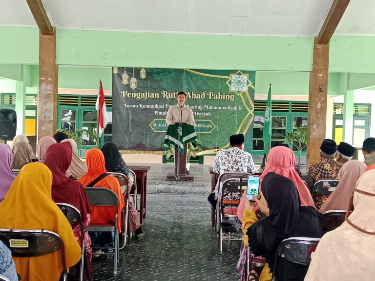 WhatsApp Image 2025-02-11 at 18.48