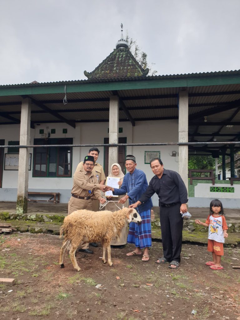 WhatsApp Image 2025-05-27 at 13.52