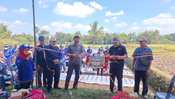 Jatam Sleman 3 okkk